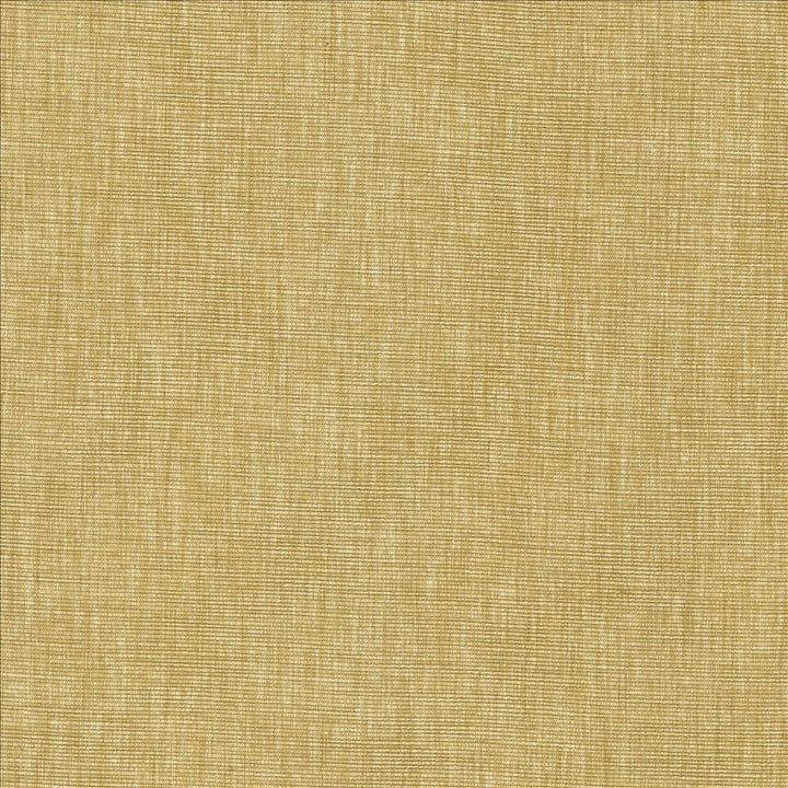 Beltran Hay by Kasmir Fabric 5163 100% Polyester
 INDIA </p><p>Repeat: Horizontal: N/A and Vertical: N/A 54 - Fabric Carolina -