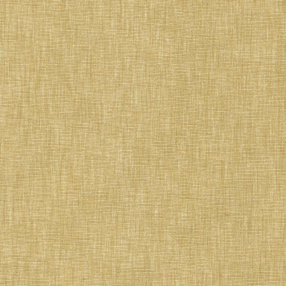 Beltran Hay by Kasmir Fabric 5163 100% Polyester
 INDIA </p><p>Repeat: Horizontal: N/A and Vertical: N/A 54 - Fabric Carolina -