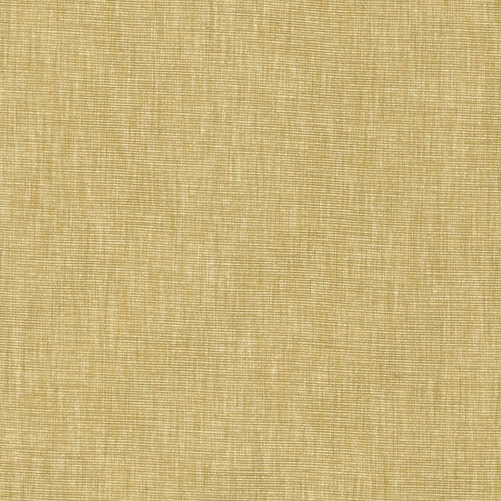 Beltran Hay by Kasmir Fabric 5163 100% Polyester
 INDIA </p><p>Repeat: Horizontal: N/A and Vertical: N/A 54 - Fabric Carolina -