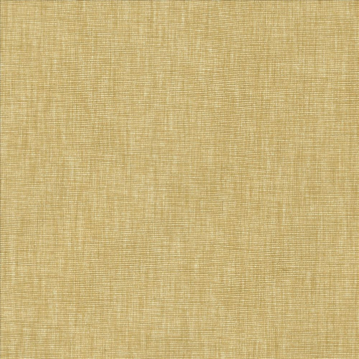 Beltran Hay by Kasmir Fabric 5163 100% Polyester
 INDIA 20,000 Wyzenbeek Double Rubs </p><p>Repeat: Horizontal: N/A and Vertical: N/A 54 - Fabric Carolina -