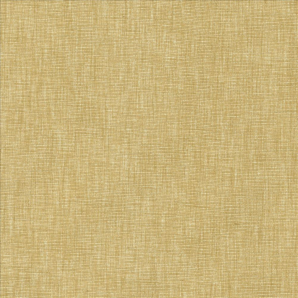 Beltran Hay by Kasmir Fabric 5163 100% Polyester
 INDIA 20,000 Wyzenbeek Double Rubs </p><p>Repeat: Horizontal: N/A and Vertical: N/A 54 - Fabric Carolina -