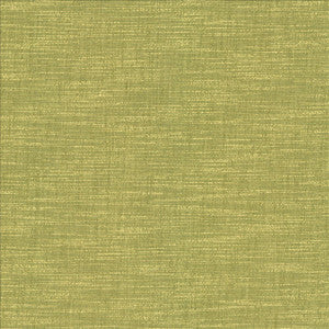 Beltran Lima by Kasmir Fabric