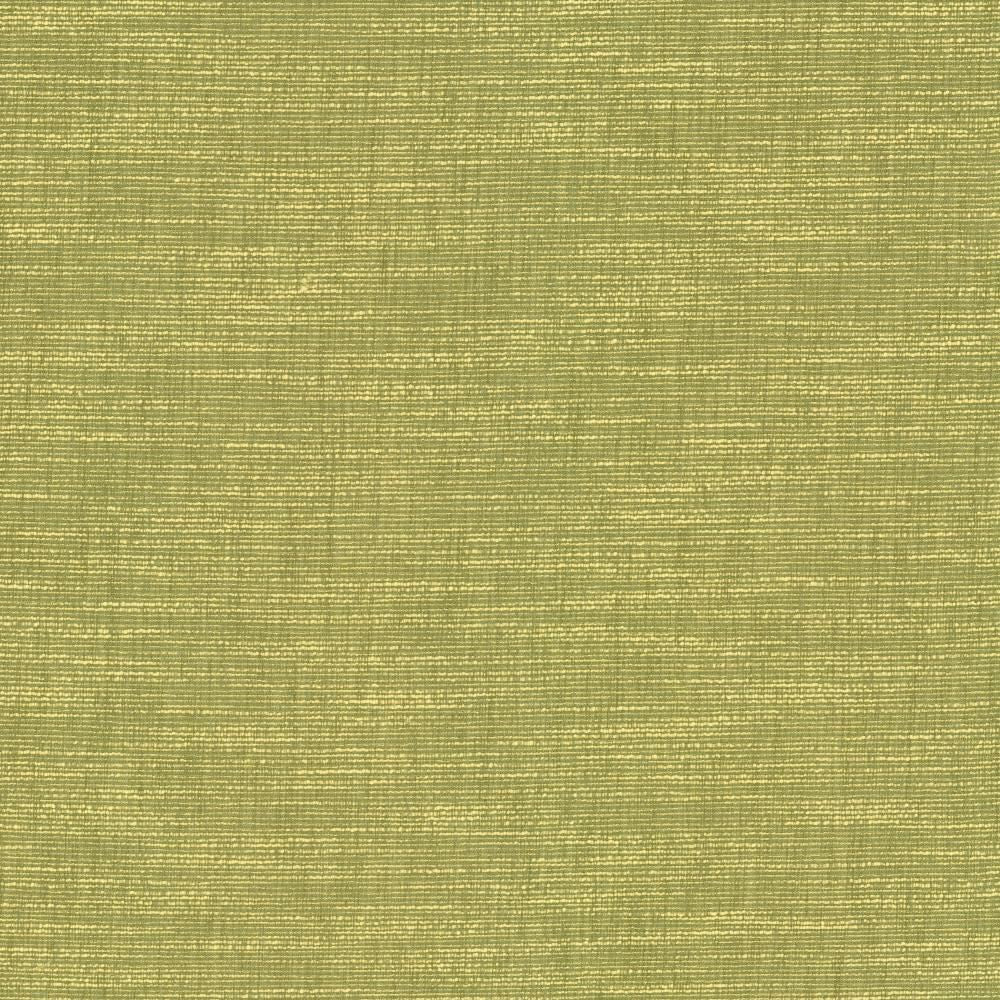 Beltran Lima by Kasmir Fabric 5163 100% Polyester
 INDIA </p><p>Repeat: Horizontal: N/A and Vertical: N/A 54 - Fabric Carolina -