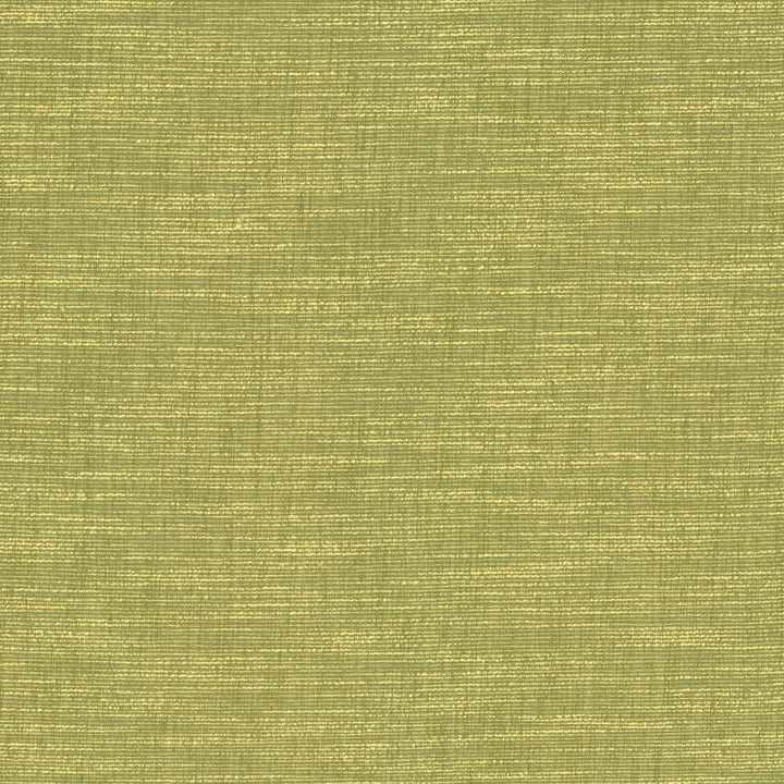 Beltran Lima by Kasmir Fabric 5163 100% Polyester
 INDIA </p><p>Repeat: Horizontal: N/A and Vertical: N/A 54 - Fabric Carolina -