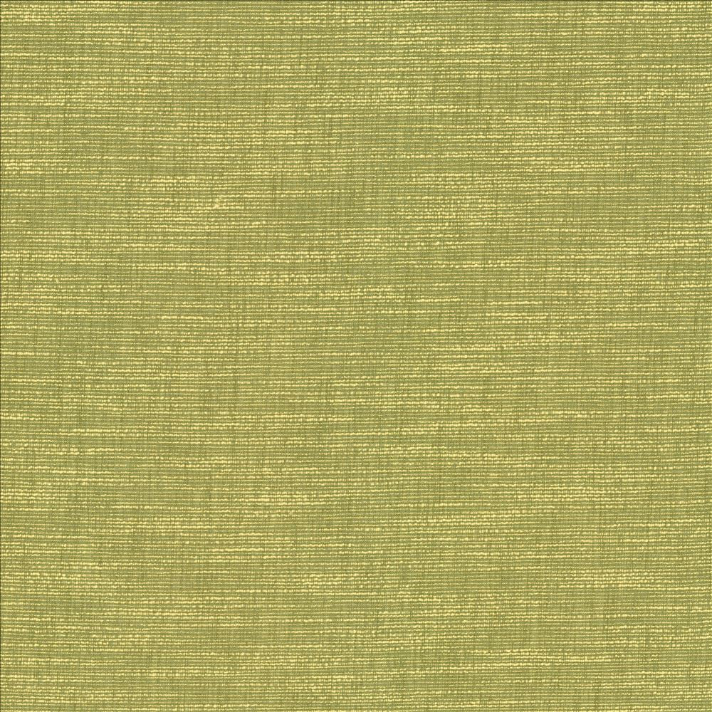 Beltran Lima  by Kasmir Fabric See sample 100% Polyester
 INDIA 20,000 Wyzenbeek Double Rubs </p><p>Repeat: Horizontal: N/A and Vertical: N/A 54  - Fabric Carolina -