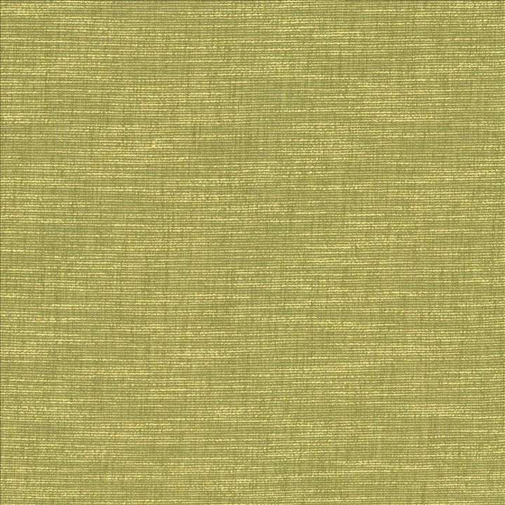 Beltran Lima  by Kasmir Fabric See sample 100% Polyester
 INDIA 20,000 Wyzenbeek Double Rubs </p><p>Repeat: Horizontal: N/A and Vertical: N/A 54  - Fabric Carolina -