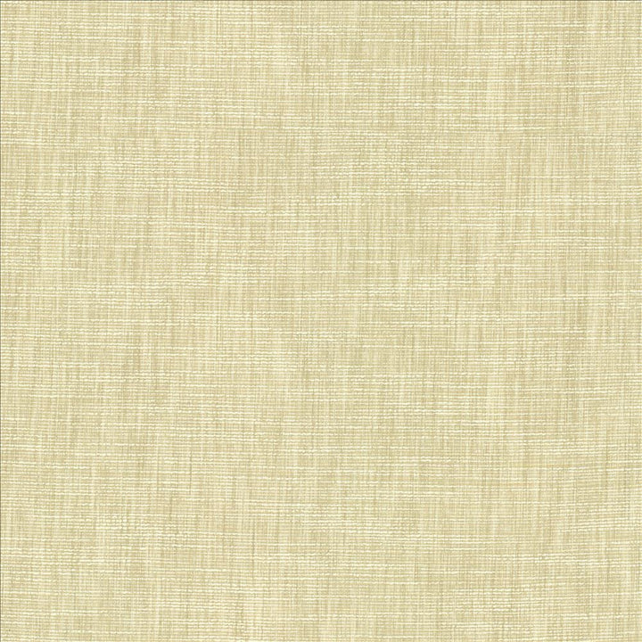 Beltran Limestone by Kasmir Fabric 5163 100% Polyester
 INDIA </p><p>Repeat: Horizontal: N/A and Vertical: N/A 54 - Fabric Carolina -