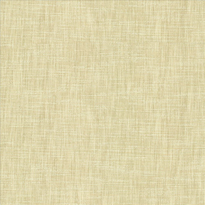 Beltran Limestone by Kasmir Fabric 5163 100% Polyester
 INDIA 20,000 Wyzenbeek Double Rubs </p><p>Repeat: Horizontal: N/A and Vertical: N/A 54 - Fabric Carolina -