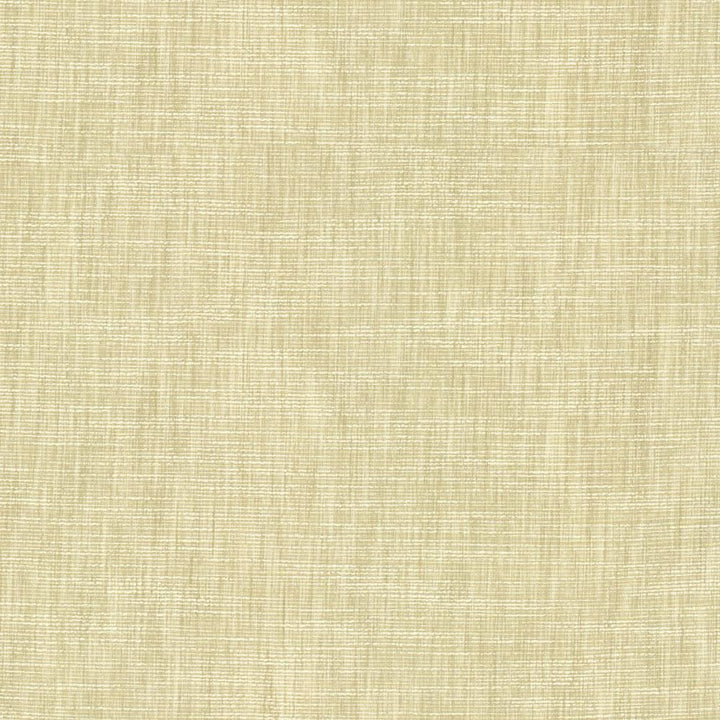 Beltran Limestone by Kasmir Fabric 5163 100% Polyester
 INDIA </p><p>Repeat: Horizontal: N/A and Vertical: N/A 54 - Fabric Carolina -