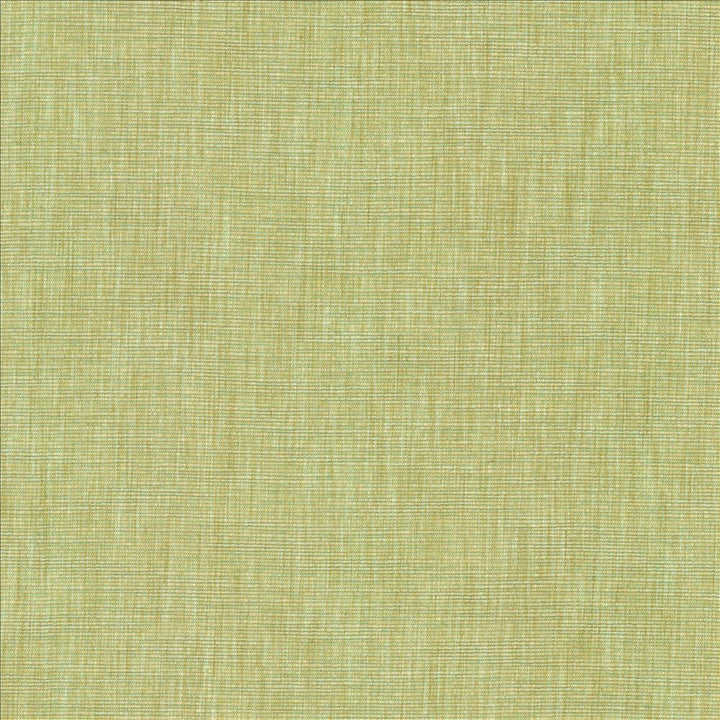 Beltran New Bud by Kasmir Fabric 5163 100% Polyester
 INDIA </p><p>Repeat: Horizontal: N/A and Vertical: N/A 54 - Fabric Carolina -