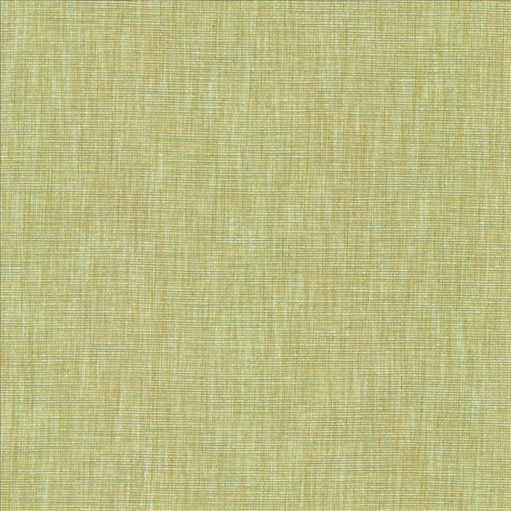 Beltran New Bud by Kasmir Fabric 5163 100% Polyester
 INDIA 20,000 Wyzenbeek Double Rubs Horizontal: N/A and Vertical: N/A 54 - Fabric Carolina -