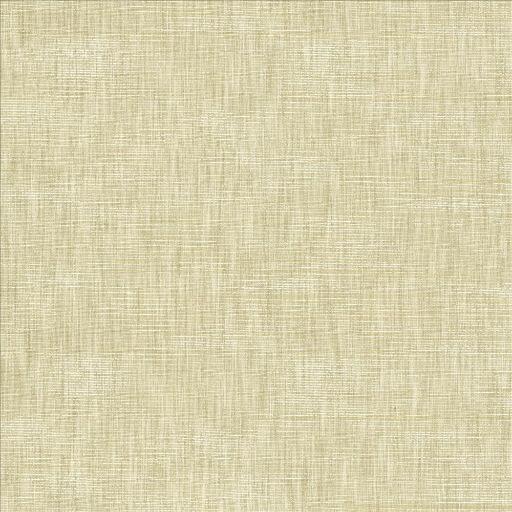 Beltran Papyrus by Kasmir Fabric 5163 100% Polyester
 INDIA 20,000 Wyzenbeek Double Rubs </p><p>Repeat: Horizontal: N/A and Vertical: N/A 54 - Fabric Carolina -