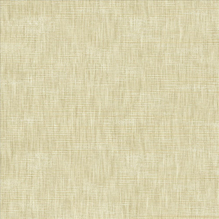 Beltran Papyrus by Kasmir Fabric 5163 100% Polyester
 INDIA 20,000 Wyzenbeek Double Rubs </p><p>Repeat: Horizontal: N/A and Vertical: N/A 54 - Fabric Carolina -
