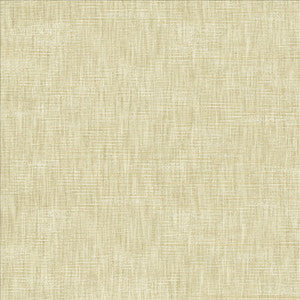 Beltran Papyrus by Kasmir Fabric