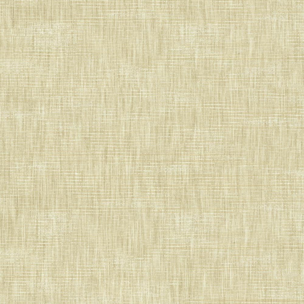 Beltran Papyrus by Kasmir Fabric 5163 100% Polyester
 INDIA </p><p>Repeat: Horizontal: N/A and Vertical: N/A 54 - Fabric Carolina -
