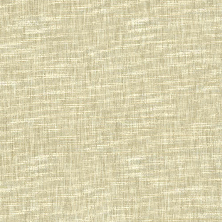 Beltran Papyrus by Kasmir Fabric 5163 100% Polyester
 INDIA </p><p>Repeat: Horizontal: N/A and Vertical: N/A 54 - Fabric Carolina -