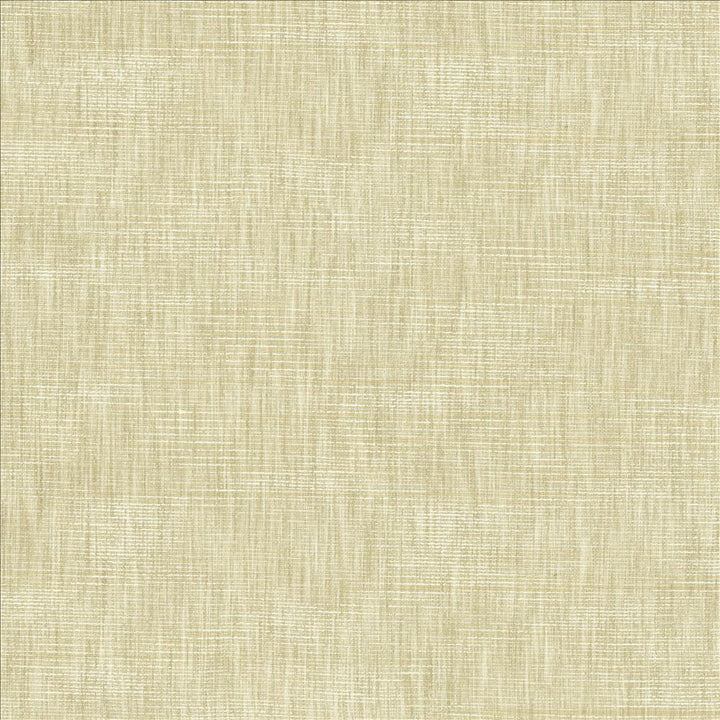 Beltran Papyrus by Kasmir Fabric 5163 100% Polyester
 INDIA </p><p>Repeat: Horizontal: N/A and Vertical: N/A 54 - Fabric Carolina -