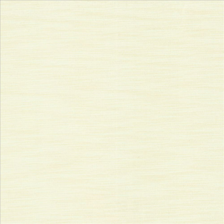 Beltran Sand Dollar by Kasmir Fabric 5163 100% Polyester
 INDIA 20,000 Wyzenbeek Double Rubs Horizontal: N/A and Vertical: N/A 54 - Fabric Carolina -