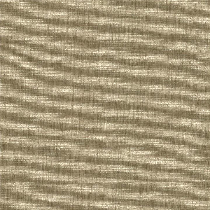 Beltran Skimming Stone  by Kasmir Fabric See sample 100% Polyester
 INDIA 20,000 Wyzenbeek Double Rubs </p><p>Repeat: Horizontal: N/A and Vertical: N/A 54  - Fabric Carolina -