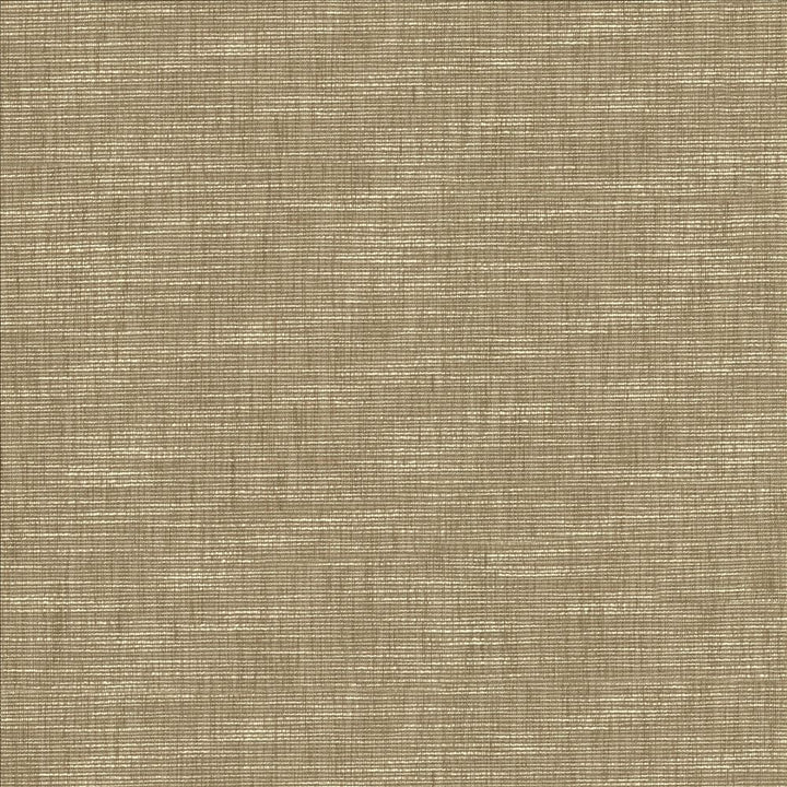 Beltran Skimming Stone by Kasmir Fabric 5163 100% Polyester
 INDIA 20,000 Wyzenbeek Double Rubs </p><p>Repeat: Horizontal: N/A and Vertical: N/A 54 - Fabric Carolina -