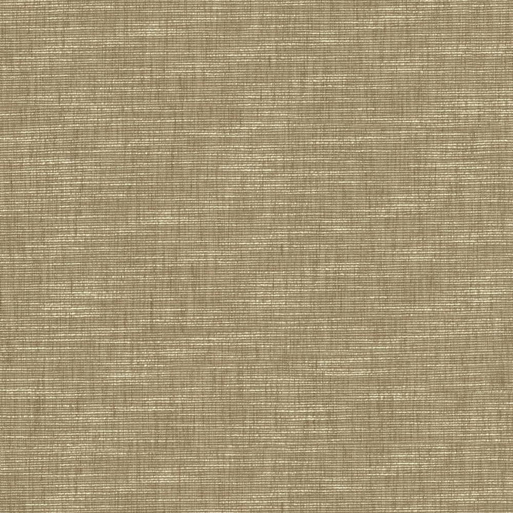 Beltran Skimming Stone by Kasmir Fabric 5163 100% Polyester
 INDIA </p><p>Repeat: Horizontal: N/A and Vertical: N/A 54 - Fabric Carolina -