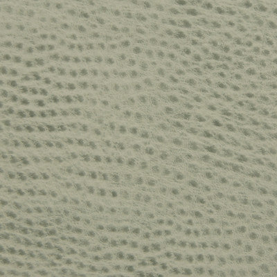 Kravet Contract Belus-135 by Kravet Contract Fabric