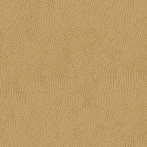 Kravet Contract Belus-1616 by Kravet Contract Fabric