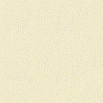 Kravet Contract Belus-1 by Kravet Contract Fabric