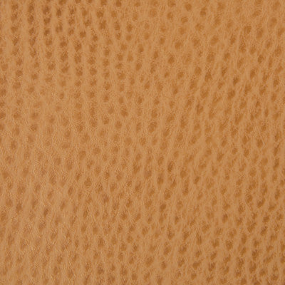 Kravet Contract Belus-4 by Kravet Contract Fabric