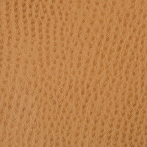 Kravet Contract Belus-4 by Kravet Contract Fabric