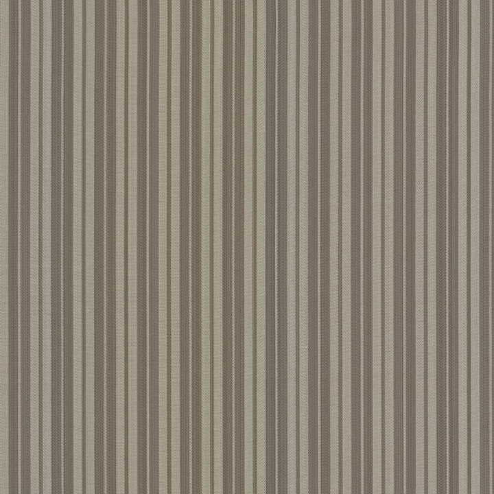 Benito Stripe Silver by Kasmir Fabric 5100 100% Polyester
 CHINA </p><p>Repeat: Horizontal: 1 4/8 inches and Vertical: N/A 55 - 57 - Fabric Carolina -