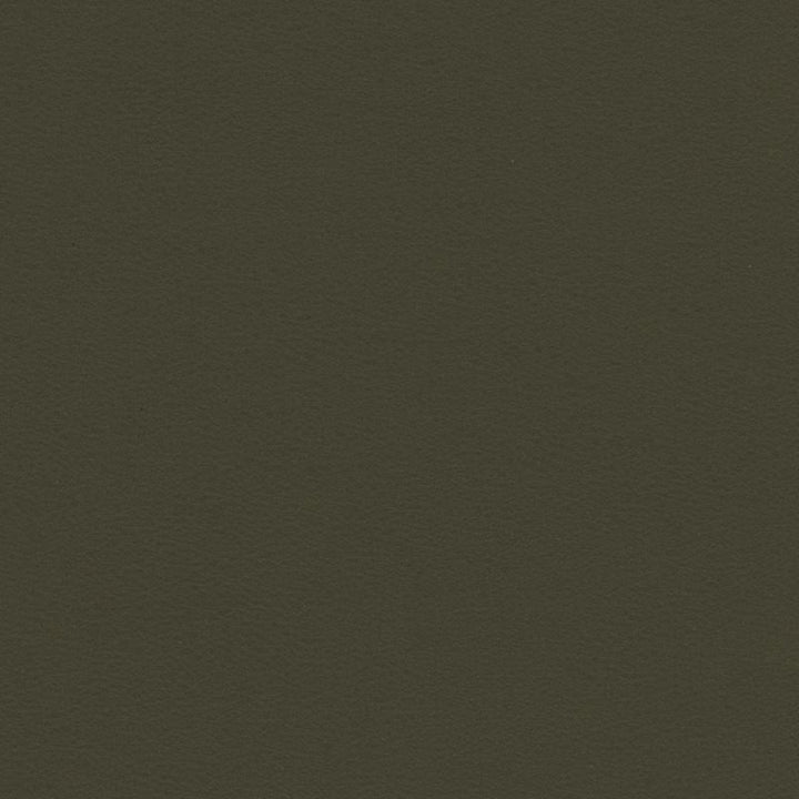 BERTA.21 by Kravet Contract Designer Fabric our website for purchase 100% Leather Taiwan Heavy Horizontal: see sample and Vertical: see sample 54 inches - Swanky Fabrics -