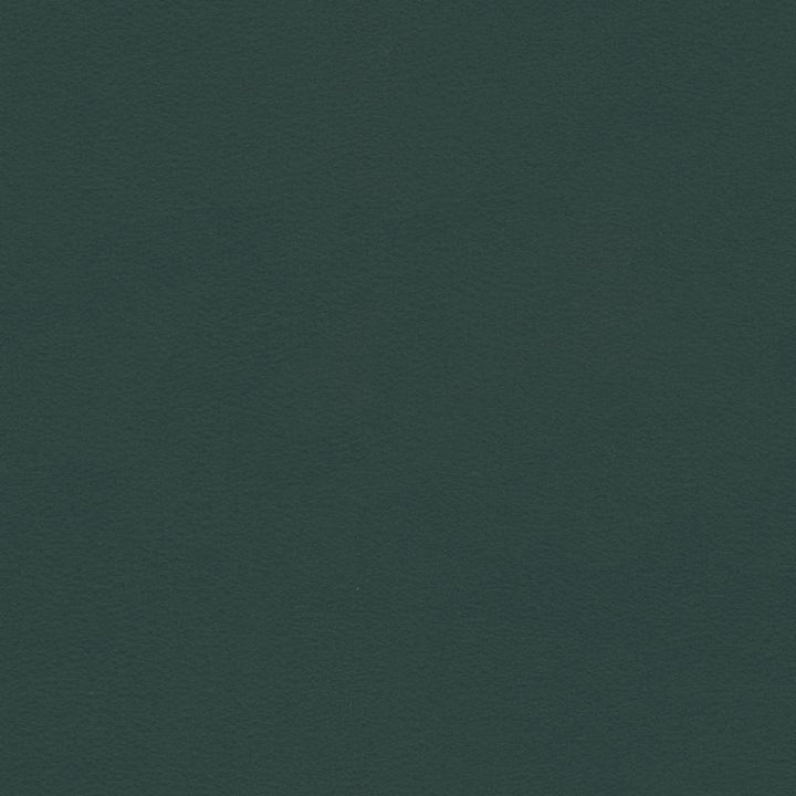 BERTA.5 by Kravet Contract Designer Fabric our website for purchase 100% Leather Taiwan Heavy Horizontal: see sample and Vertical: see sample 54 inches - Swanky Fabrics -