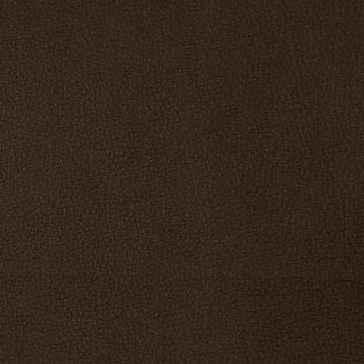 Kravet Contract Berta-66 by Kravet Contract Fabric