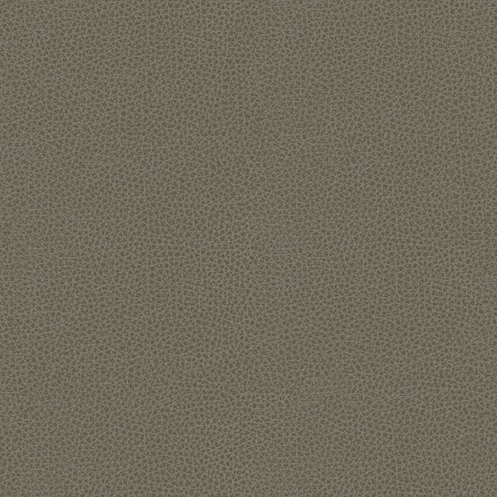 BESS.11 by Kravet Contract Designer Fabric our website for purchase 100% Leather Taiwan Heavy Horizontal: see sample and Vertical: see sample 54 inches - Swanky Fabrics -