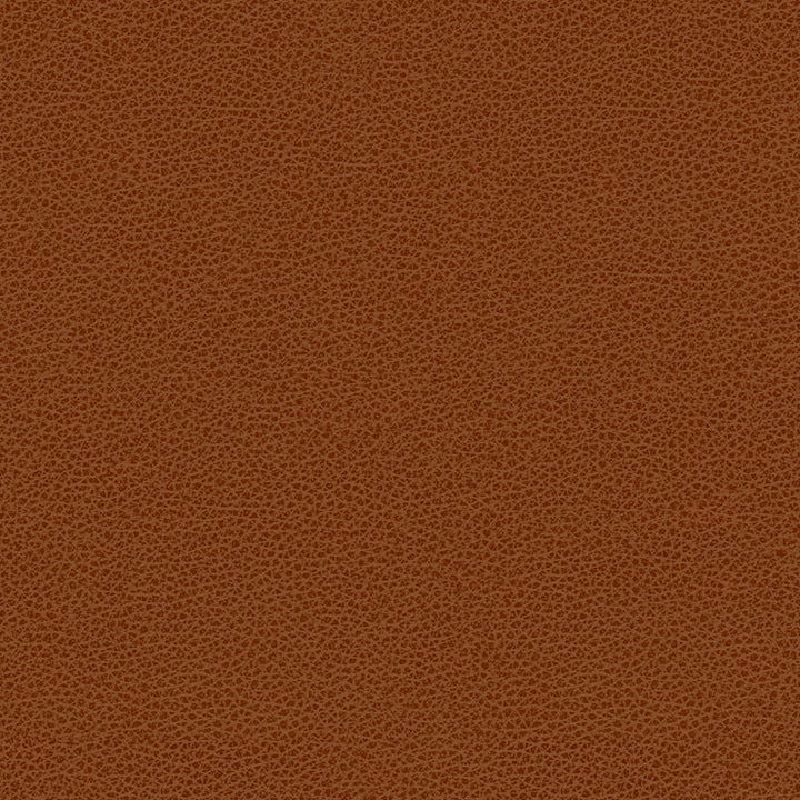 BESS.24 by Kravet Contract Designer Fabric in our sample Poly Vinyl Chloride 100% Taiwan Heavy Horizontal: See Sample and Vertical: See Sample 54 inches - Swanky Fabrics -
