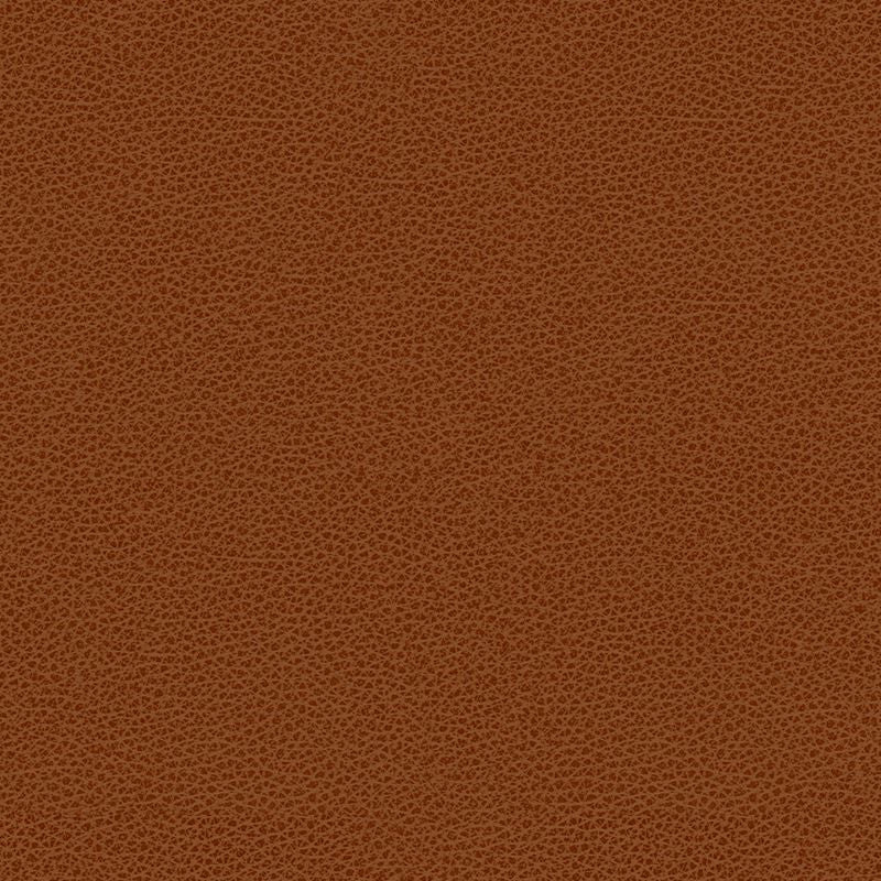BESS.24 by Kravet Contract Designer Fabric our website for purchase 100% Leather Taiwan Heavy Horizontal: see sample and Vertical: see sample 54 inches - Swanky Fabrics -