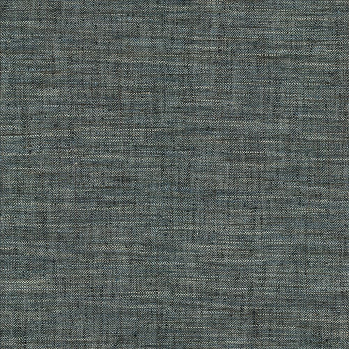 Best In Show Admiral by Kasmir Fabric 5145 100% Polyester
 INDIA 30,000 Wyzenbeek Double Rubs Horizontal: N/A and Vertical: N/A 55 - Fabric Carolina -