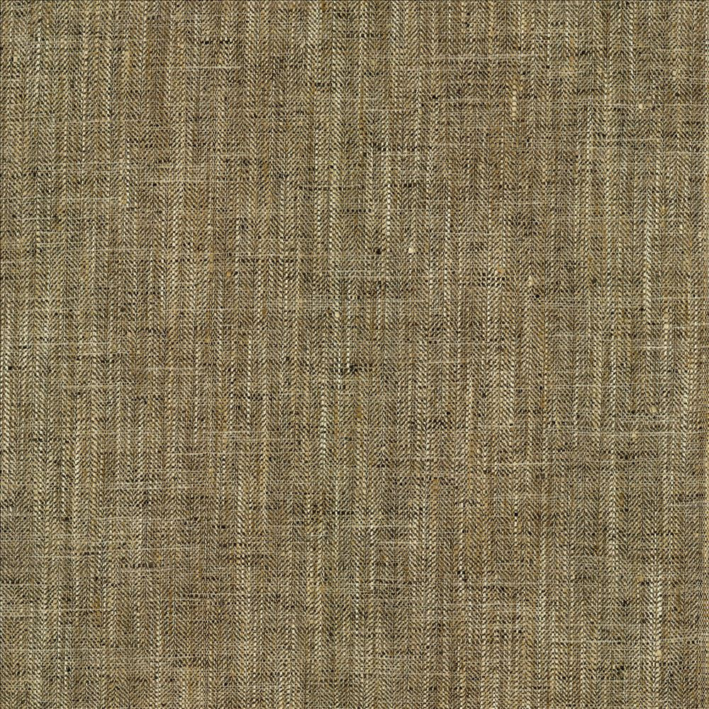 Best In Show Alloy by Kasmir Fabric 5141 100% Polyester
 INDIA 30,000 Wyzenbeek Double Rubs </p><p>Repeat: Horizontal: N/A and Vertical: N/A 55 - Fabric Carolina -