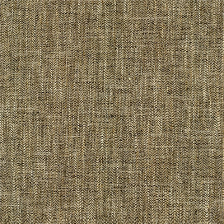 Best In Show Alloy by Kasmir Fabric 5141 100% Polyester
 INDIA 30,000 Wyzenbeek Double Rubs </p><p>Repeat: Horizontal: N/A and Vertical: N/A 55 - Fabric Carolina -