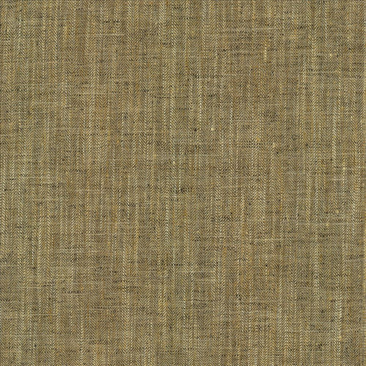 Best In Show Alloy by Kasmir Fabric 5141 100% Polyester INDIA 30,000 Wyzenbeek Double Rubs Horizontal: 0 Inches and Vertical: 0 Inches 55 - Fabric Carolina -