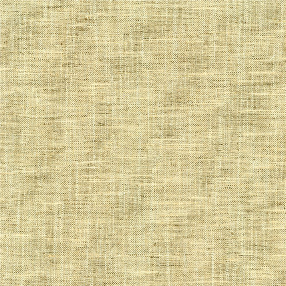 Best In Show Birch by Kasmir Fabric 5144 100% Polyester
 INDIA </p><p>Repeat: Horizontal: N/A and Vertical: N/A 55 - Fabric Carolina -