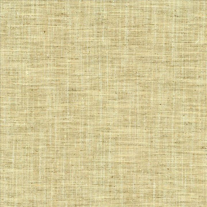 Best In Show Birch by Kasmir Fabric 5144 100% Polyester
 INDIA </p><p>Repeat: Horizontal: N/A and Vertical: N/A 55 - Fabric Carolina -