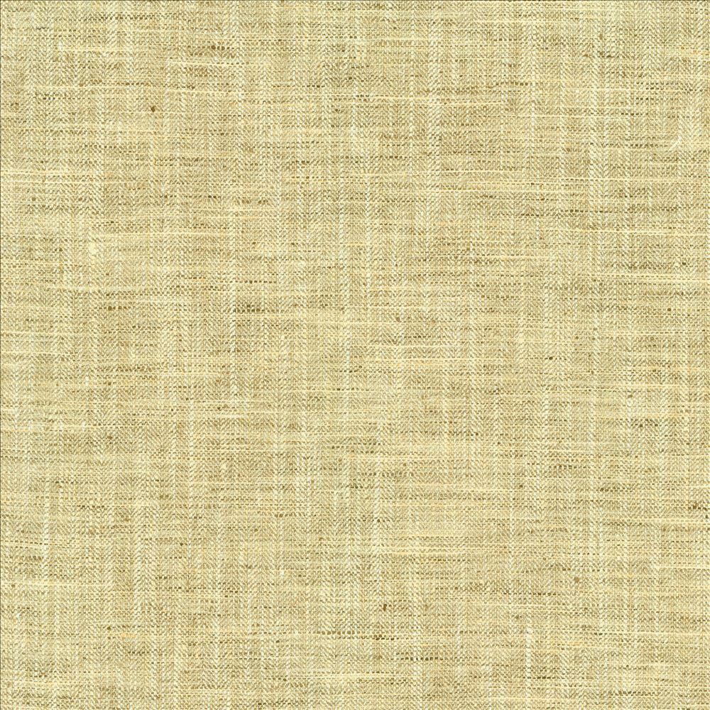 Best In Show Birch by Kasmir Fabric 5144 100% Polyester
 INDIA 30,000 Wyzenbeek Double Rubs </p><p>Repeat: Horizontal: N/A and Vertical: N/A 55 - Fabric Carolina -
