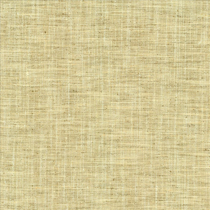 Best In Show Birch by Kasmir Fabric 5144 100% Polyester
 INDIA 30,000 Wyzenbeek Double Rubs </p><p>Repeat: Horizontal: N/A and Vertical: N/A 55 - Fabric Carolina -