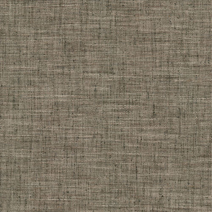 Best In Show Coal by Kasmir Fabric 5141 100% Polyester
 INDIA </p><p>Repeat: Horizontal: N/A and Vertical: N/A 55 - Fabric Carolina -