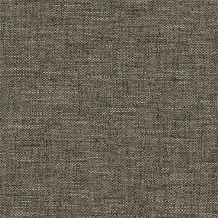 Best In Show Coal by Kasmir Fabric 5141 100% Polyester
 INDIA 30,000 Wyzenbeek Double Rubs Horizontal: N/A and Vertical: N/A 55 - Fabric Carolina -