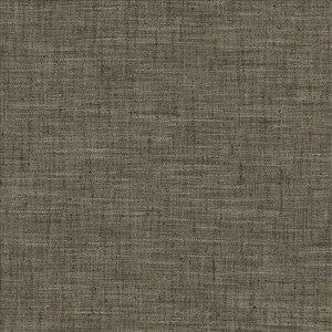 Best In Show Coal by Kasmir Fabric