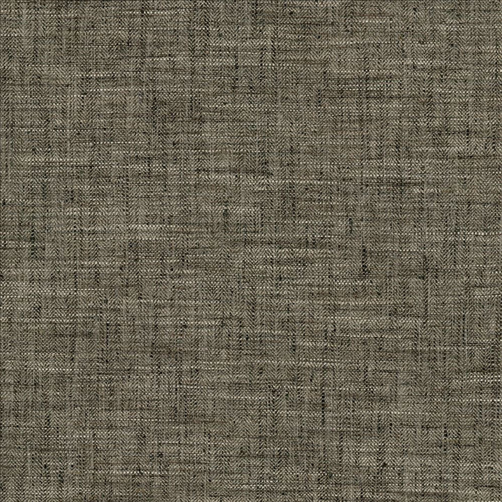 Best In Show Coal by Kasmir Fabric 5141 100% Polyester
 INDIA 30,000 Wyzenbeek Double Rubs </p><p>Repeat: Horizontal: N/A and Vertical: N/A 55 - Fabric Carolina -