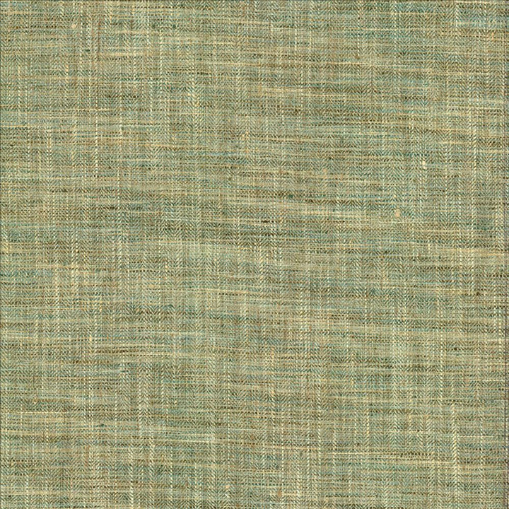 Best In Show Jade by Kasmir Fabric 5142 100% Polyester
 INDIA 30,000 Wyzenbeek Double Rubs </p><p>Repeat: Horizontal: N/A and Vertical: N/A 55 - Fabric Carolina -